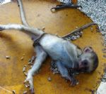 Click To View This Image